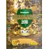Álbum Figurinha Campeonato Brasileiro 2010 Futebol Leia Anun