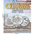 Álbum Moeda Eua Quarter Dollar Estados + Parks 1999 A 2021
