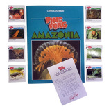 Album Ping Pong Amazonia