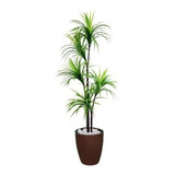 Árvore Artificial Planta Para Sala Yucca