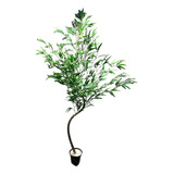 Árvore Bambu Mossô Artificial Tronco Natural 2.00 Mts Planta