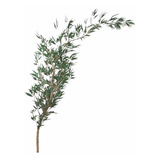 Bambu