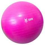 Bola Suia Pilates Yoga Abdominal Gym Ball 75cm Bomba Grtis Cor Rosa