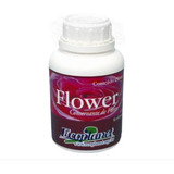 Conservante De Flores 250ml Flower Concentrado