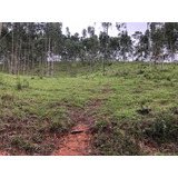 Fazenda De 71 Alqueres Para Criao De Gado