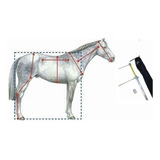 Hipômetro Com Duas Barras Medição - Cavalos Bovinos Caprinos