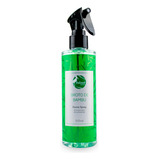 Home Spray Broto Bambu Aromatizador Ambiente Loja Casa 200ml