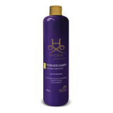 Hydra Groomers Colônia Forever Candy 450ml