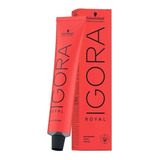 Igora Royal 1-1 Preto Azulado