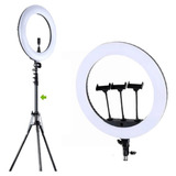 Iluminador Anel Ring Ligth Profissional 46cm 18p Tripé 2 M Cor Da Luz 3 Opções Cor Da Estrutura Preto Voltagem 110v/220v