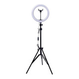 Iluminador De Led Ring Light C/ Dimmer Usb 26cm 3500k 6000k