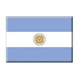 ímã Da Bandeira Da Argentina