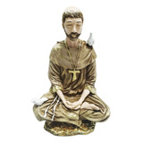 Imagem Estátua São Francisco Assis Meditando
