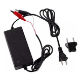 Bivolt