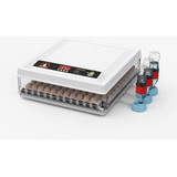 127v/220v