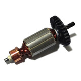 220v