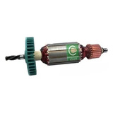 110v