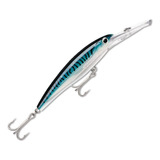 Mackerel