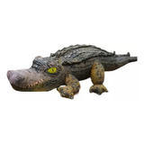 Jacaré Crocodilo De Pelúcia 80cm Aligator Realista Almofada