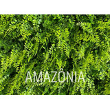Jardim Artificial Decorativo Planta Textura Realista Moldura
