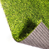 25m²