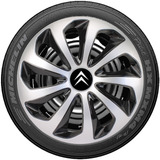 C3