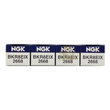 Bkr8eix