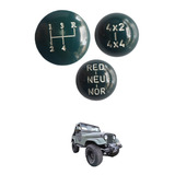 Willys