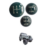 Willys