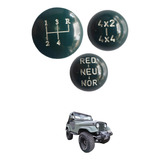 Willys