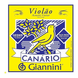 Canario