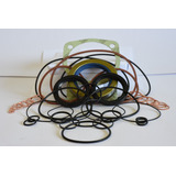 Jogo De Reparo Reversor Zf Bw 40 + 12 Molas + 8 Parafusos