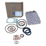 Jogo De Reparo Reversor Zf Bw40 3060.298.802