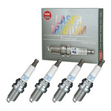 Iltr5b11