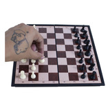 20x20