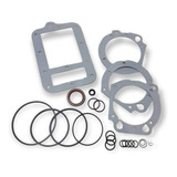 Jogo Reparo Vedação Torque Trator Massey 830979