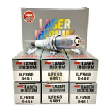 Ilfr6b