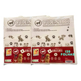Jornal Pet Cães - Tapete Higiênico Kit 2