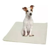 Jornal Pet P/ Cachorro +/- 250 Uni, Sem Impressão, Reciclado