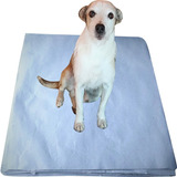 Jornal Pet Para Cachorro 500 Unid,10 Kgs Sem Impressão, Reciclado, Papel Strong Boa Absorção, Medida 60x60 Top +brinde!!