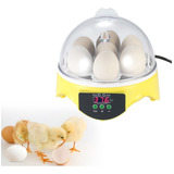 K Mini Incubadora Digital Transparente 7 Ovos