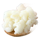 Kefir De Leite + Manual De Cuidados Envio Para Todo Brasil