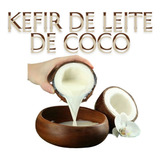 Kefir Vegano De Leite De Coco