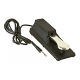 Keyboard Sustain Pedal On Stage