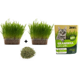 Kit 02 Graminha Gato Eliminação Pelos Digestao Pet + Catnip