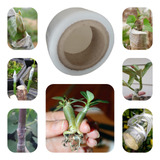 Kit 05 Fita Enxertia Rosas Do Deserto Plantas Profissional