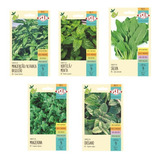 Kit 05x Sementes Isla Horta Manjericão Oregano Menta Salvia 