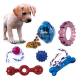 Kit 06 Brinquedos De Cachorros Pequenos