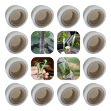 Kit 08 Fita Profissional Enxertia Rosas Do Deserto Plantas