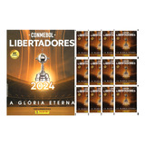 Kit 1 Álbum Libertadores 2024 + 100 Figurinhas (20 Env)